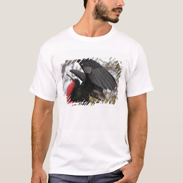 T-shirt Magnifique Frigate Bird (Devant)
