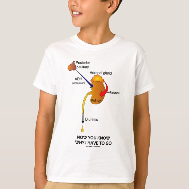 T-shirt Maintenant vous savez pourquoi je dois aller (la (Devant)