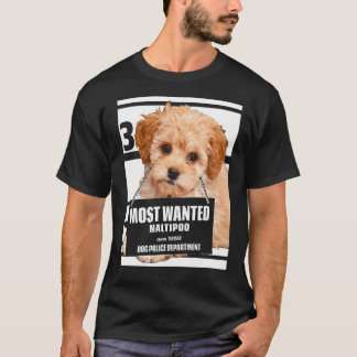 T-shirt Maltipoo le plus Recherché - Maltese Poodé miniatu