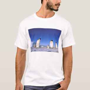 T-shirt Manchot   Antarctique, péninsule Antarctique