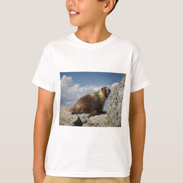 T-shirt Marmotte à ventre jaune en Yosemite (Devant)