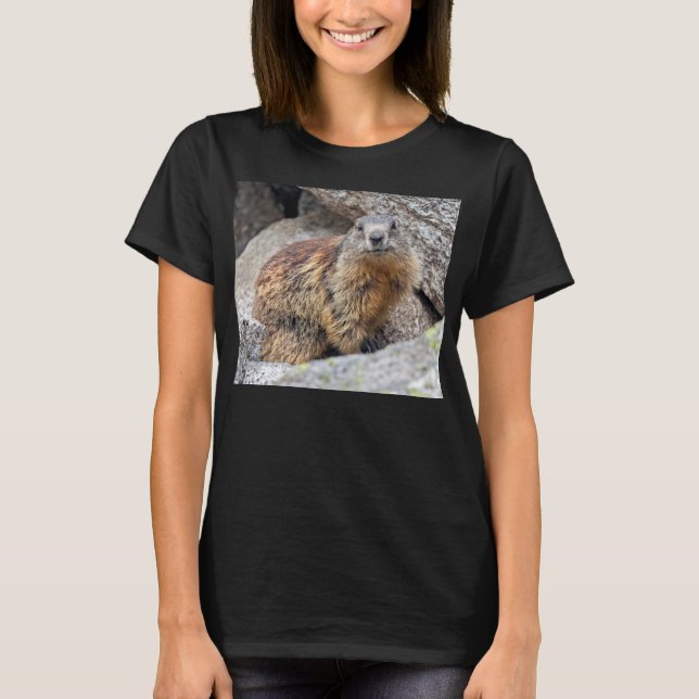 T-shirt Marmotte des Alpes Tee (Devant)