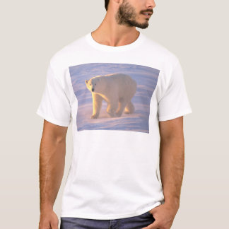 T-shirt Matin 2 d'ours blanc