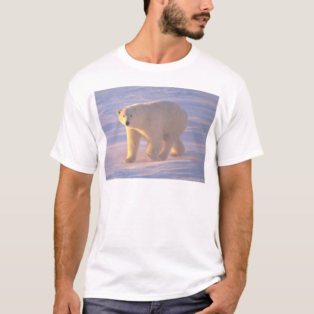 T-shirt Matin 2 d'ours blanc (Devant)