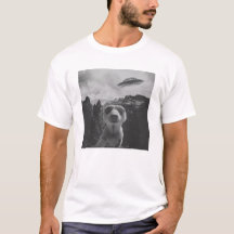 Meerkat Selfie In A Mountain Landscape Surrealist