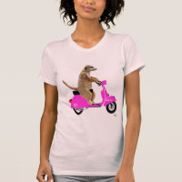 Meerkat sur Pink Moped