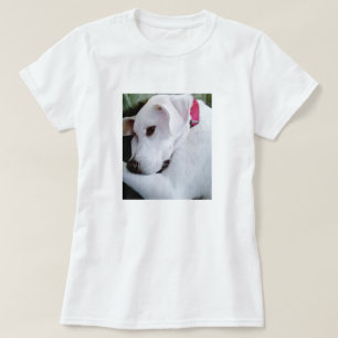 T-shirt Mélange de chien blanc du joli laboratoire