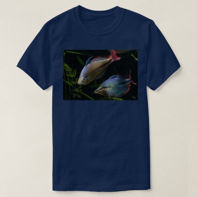 T-shirt Melanotaenia trifasciata Cato (Design devant)