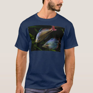 T-shirt Melanotaenia trifasciata Cato