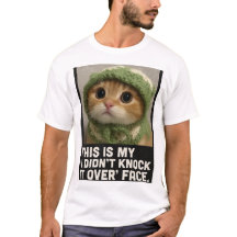 Mème de chaton mignon – “Je ne l'ai pas renversé”