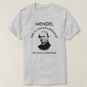 T-shirt Mendel croisé pollinisé