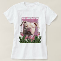 Merci - tulipes roses - Pitbull - fille du Jersey