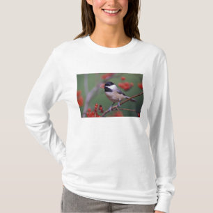 T-shirt Mésange de Caroline