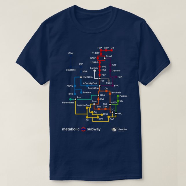 T-shirt Métro métabolique 2 (Design devant)