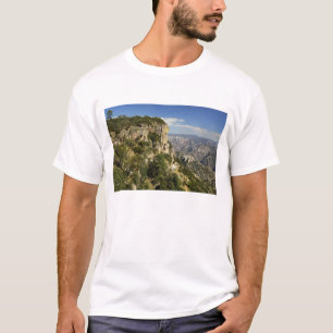T-shirt Mexique, Etat du Chihuahua, Canyon du cuivre. CECI