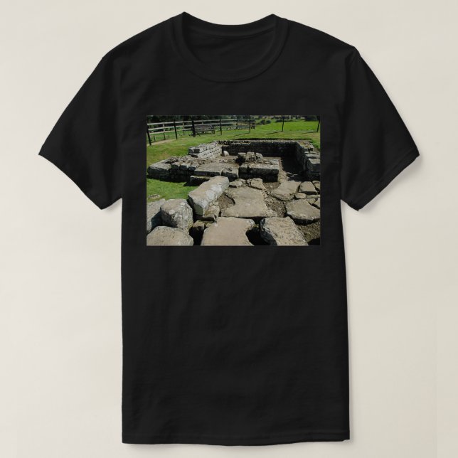 T-shirt MI 78 Roches Et Briques Tuées 1 Mur Hadrien (Design devant)