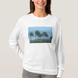 T-shirt Miami Beach, Floride, vents d'ouragan fouettant