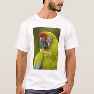 T-shirt Militaire Macaw