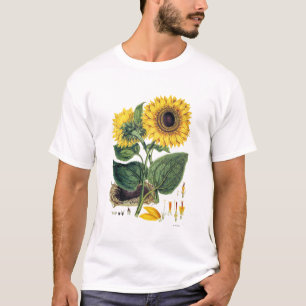 T-shirt Miller : Tournesol