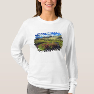 T-shirt Mimulus de Logan Pass dans le Glacier National