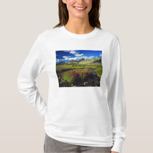 T-shirt Mimulus de Logan Pass dans le parc national de Gla