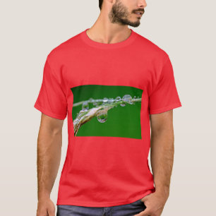 T-Shirt Minimaliste « Goutte de Pluie »