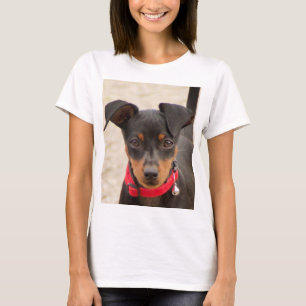 T-shirt minuscule-pinscher-noir et rouille