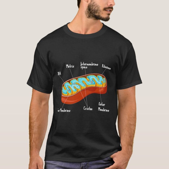 T-shirt Mitochondrie Biologie cellulaire Biologiste Scienc (Devant)