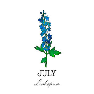 T-shirt Mois de naissance Juillet Fleur de Larkspur