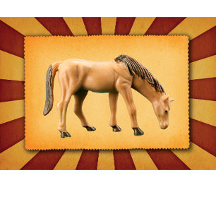 T-shirt Mon cheval