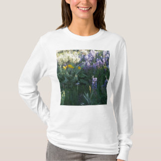 T-shirt Montagne rocheuse de loup
