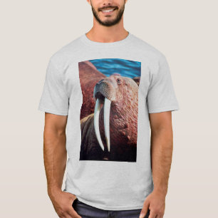 T-shirt Morse