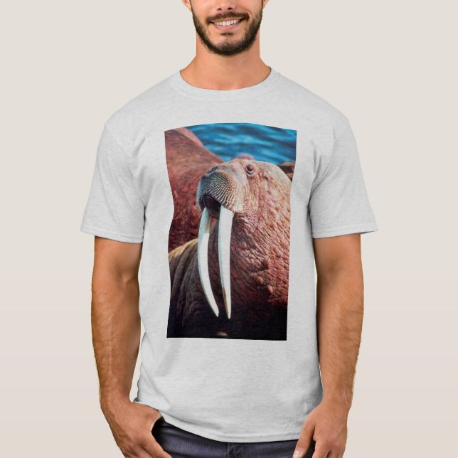 T-shirt Morse (Devant)