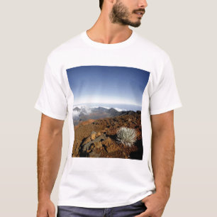 T-shirt Mot d'argent sur la rime du cratère de Haleakala 