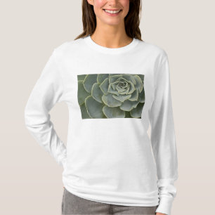 T-shirt Motif de cactus