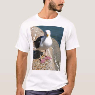 T-shirt Mouette, baie de Morro, la Californie