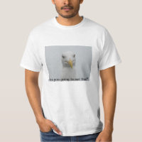 Mouette espérant une aide