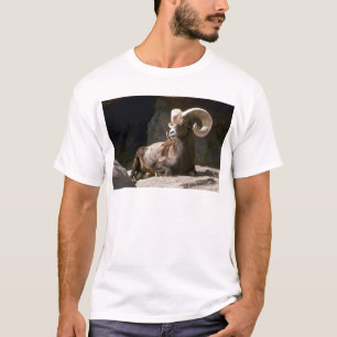 T-shirt Mouflons d'Amérique de désert (RAM adulte enfonc