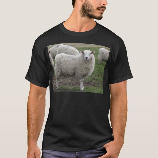 T-shirt Moutons de Cheviot (Devant)