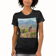Mt. St Helens