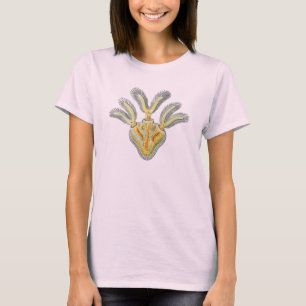 T-shirt Mucedo de Cristatella