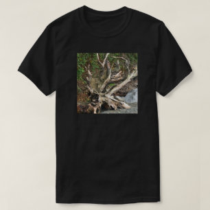 T-shirt Murphy's in the Log amoureux de les chiens jeu