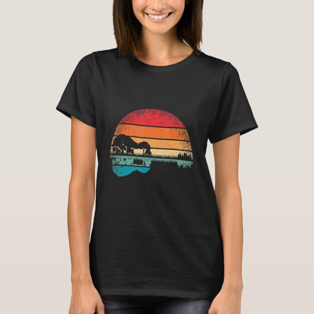 T-shirt Musique guitariste Retro Guitar Lake Sunset (Devant)