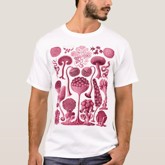 T-shirt Mycetozoa - Kunstformen der Natur (1904) par Ernst (Devant)
