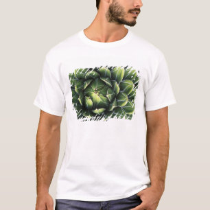 T-shirt N.A., États-Unis, Arizona, Tucson, désert de Sonor