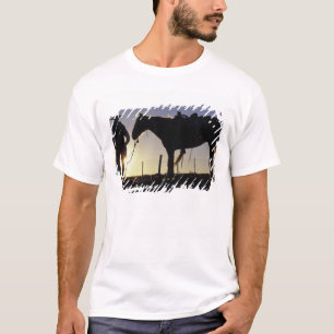 T-shirt N.A., États-Unis, Oregon, Seneca, Ponderosa Ranch,