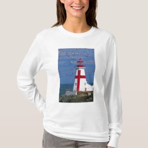 T-shirt NA, Canada, Nouveau-Brunswick, île Campobello. 8