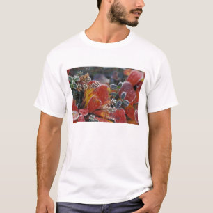 T-shirt NA, États-Unis, Alaska, Parc national Denali givré