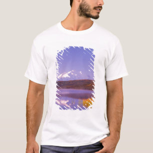 T-shirt NA, États-Unis, Alaska, Parc national Denali, Wond