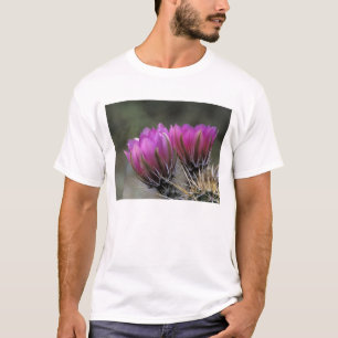 T-shirt NA, États-Unis, Arizona, désert de Sonora. Hérisso